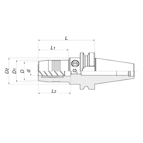 Патрон гидропластовый BT40-6-90 MAS403BT